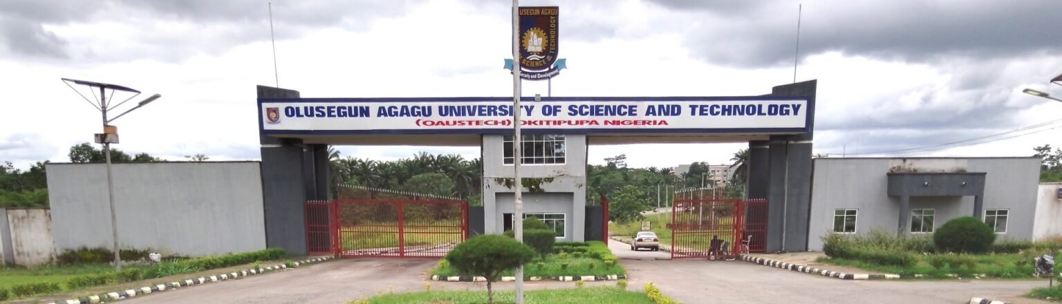 Universities in Ondo State and Their School Fees for All Courses (2025/2026) & How to make payment, step by step guide